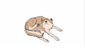 create 2d animated gifs
