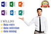 do data entry job on ms excel ms word, data collection