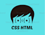 add custom css and html code to your squarespace website