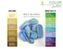 create a custom color palette for your brand