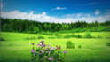 create natural scenic refreshing intro