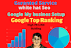 do on page and off page for your site to rank google