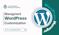 edit, update, manage and create wordpress website