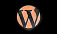 do wordpress theme development, customization and design