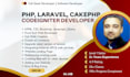 fix and customize PHP laravel codeigniter and cakephp websites