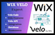 develop any custom feature on wix using wix velo