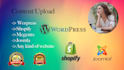 upload content, blogs or articles on your website