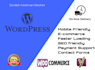 fix any issues in wordpress and customisation