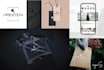 design a high quality professional logo for you