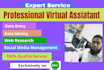 do fastest excel, word data entry and web research