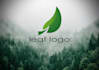 design professional looking logo s