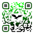 create customized colourful qr code with logo