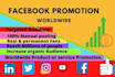 do facebook promotion to the targeted audience
