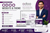 develop, customize and fix your odoo website, erp and ecommerce