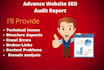 provide advance website seo audit report