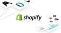 manage shopify store, seo, boost sales and traffic of store