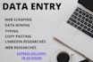 do perfect data entry in 24hr