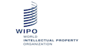 create patent document and file
