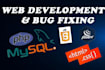 develop your website as your expectation