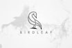 design your ideal logo