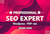 fix any SEO issue with your  website