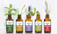 oil bottle label design hair oil label body oil packaging design