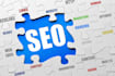 visit your website and do a full SEO analysis