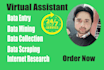virtual assistant for microsoft excel data entry services