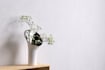 create 3d model for your product and render it