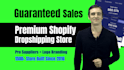 create automated shopify dropshipping store, shopify website aliexpress