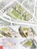 do urban design landscape masterplan and 3d rendering