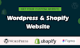 build shopify website, shopify store design, shopify expert