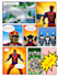 design cover book and comic book illustrations