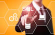 do sql queries and business data analysis