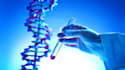 do scientific research and write research project