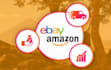 do amazon to ebay dropshipping listings
