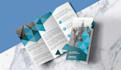 design a single, bifold, trifold, and multipage brochure