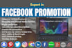 do facebook promotion in USA any business
