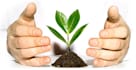 interpret your business in a database
