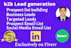 search business email,  b2b lead generation, list building