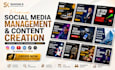 do reels or post daily manage and grow your social media