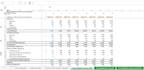 prepare and vet financial model for your company
