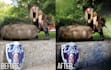edit retouch restore or manipulate your photos