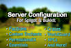 create a professional minecraft server