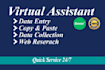 be your virtual assistant for data entry, data mining etc
