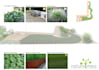 design your garden choosing the best plants