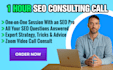 do SEO consulting one hour video call