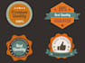 create really awesome and professional web badge for your website