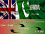 professionally translate official documents and speeches etc
