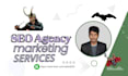 do premium technical, on page and off page SEO for top google rankings